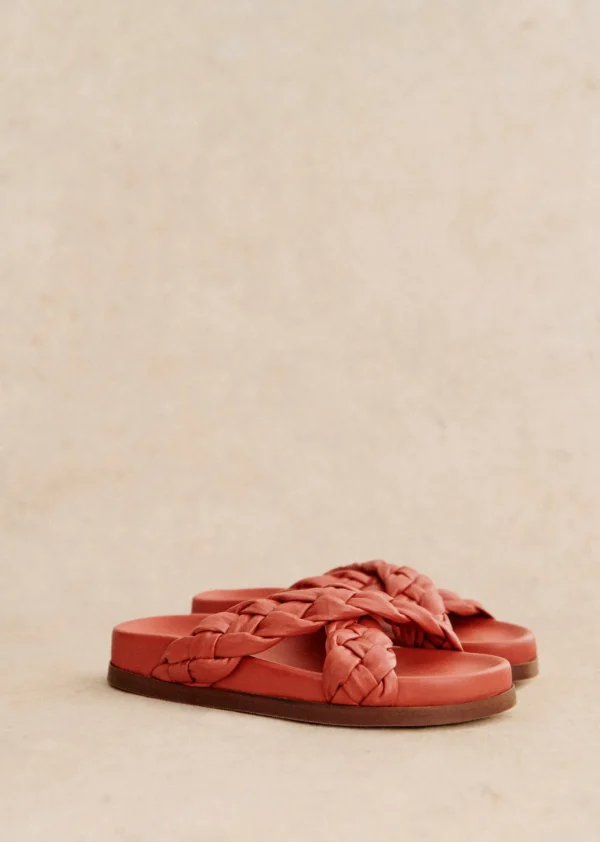 Sezane Mule Low Eden